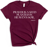 PRAYER IS A SEED PLANTED INTO HEAVEN'S SOIL. LUKE 8:11