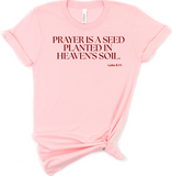 PRAYER IS A SEED PLANTED INTO HEAVEN'S SOIL. LUKE 8:11